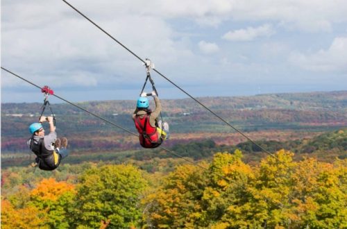Zip Line Zip Line