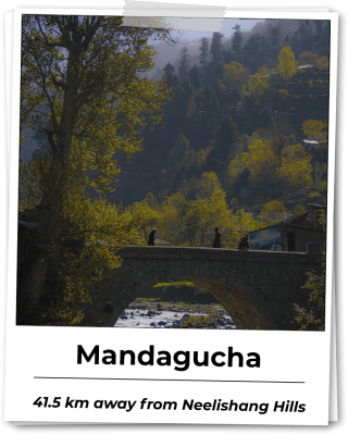 mandagucha